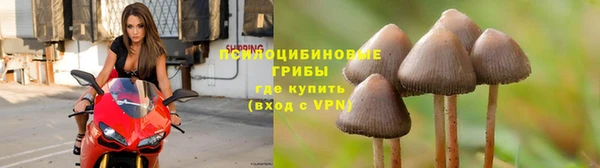 MDMA Premium VHQ Нея