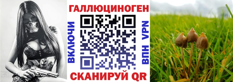 Галлюциногенные грибы GOLDEN TEACHER закладка Аргун