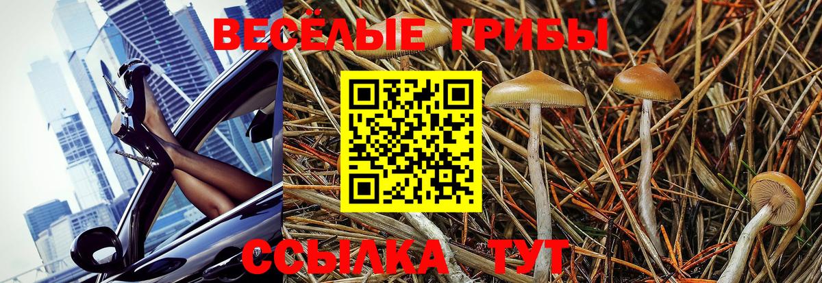 Псилоцибиновые грибы MAGIC MUSHROOMS Аргун