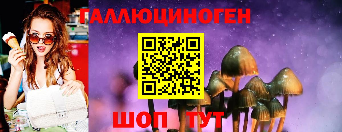 Псилоцибиновые грибы MAGIC MUSHROOMS Аргун