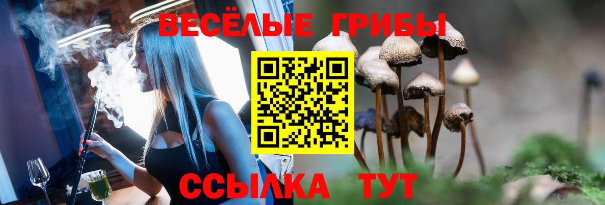 Галлюциногенные грибы прущие грибы  Галлюциногенные грибы MAGIC MUSHROOMS  Аргун 