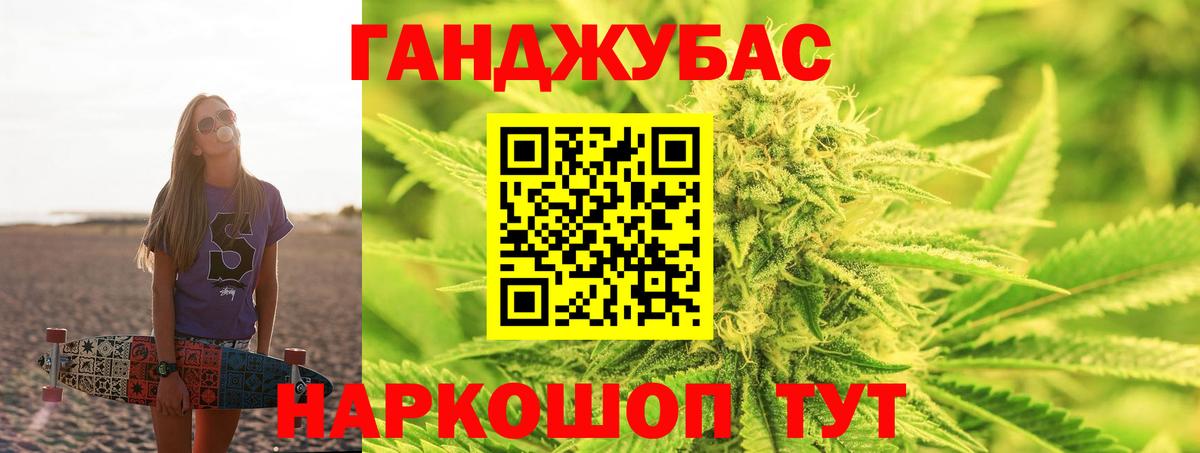 Конопля Ganja  Канабис планчик  Аргун  Бошки Шишки гибрид 