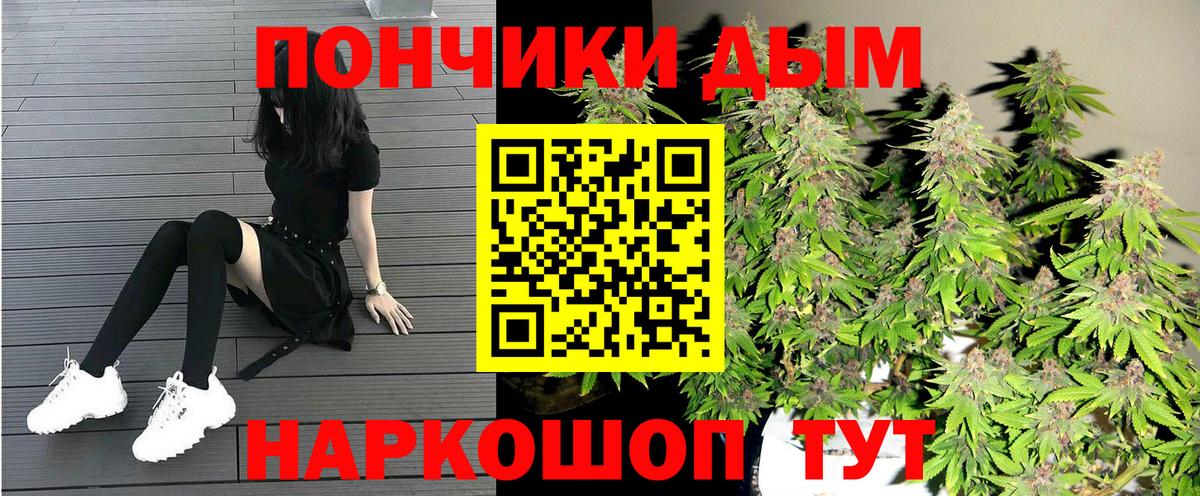 Канабис план Аргун